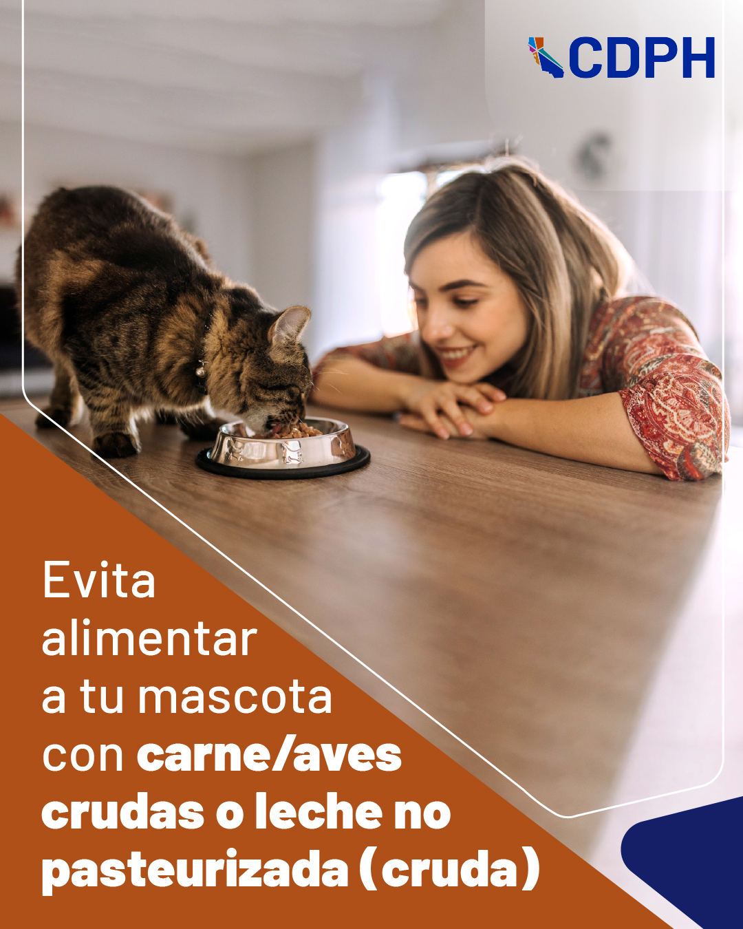 evita alimentar a tu mascota con carne/aves crudas o leche no paseurizada (cruda)