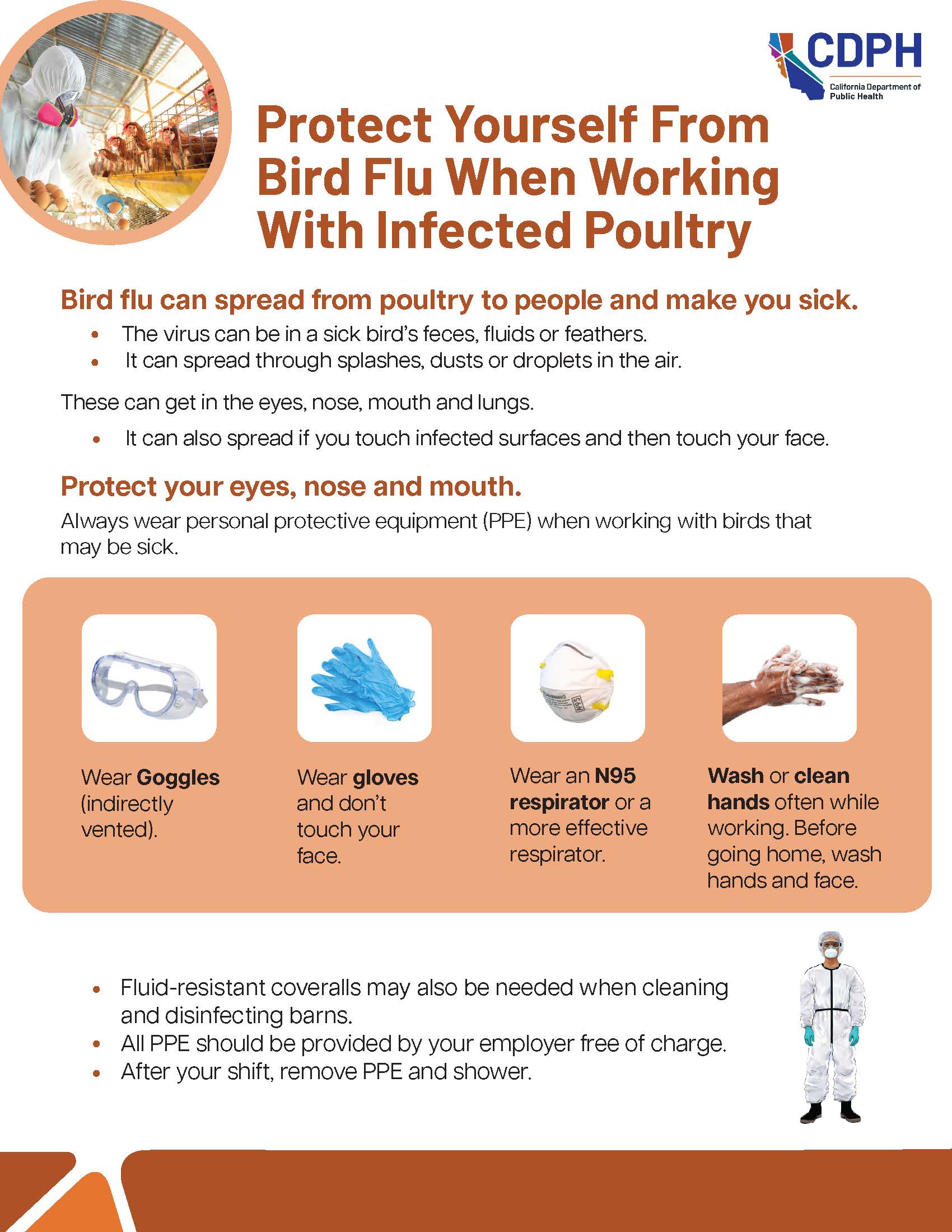 Protect yourself when working with infected poultry